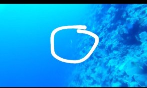 CF8F7213-EAA9-4679-94F1-DE2A135AD794