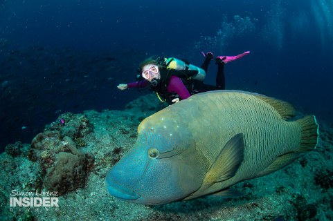 Palau 2019-04 Simon Lorenz-4509